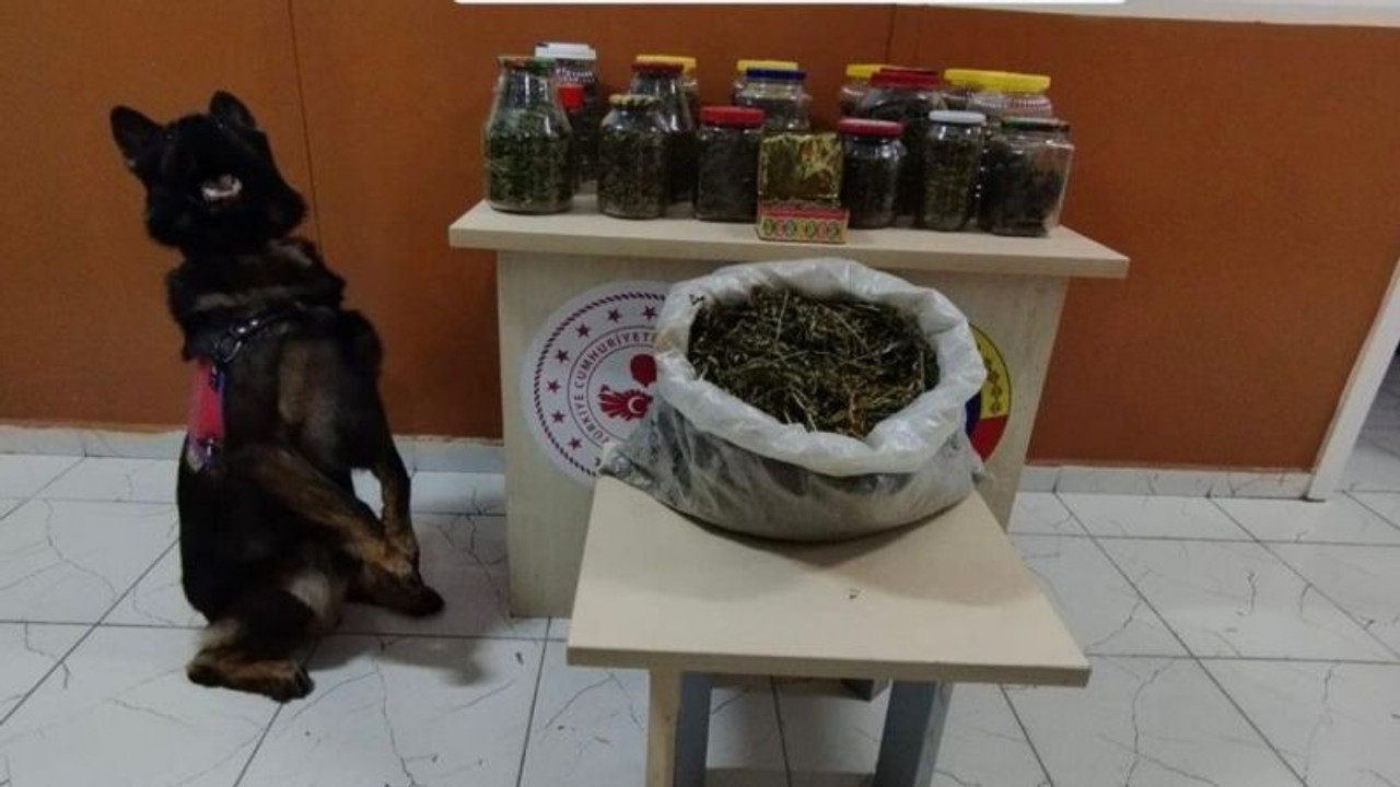 Uyuşturucuyu cam kavanoz ve plastik bidonlarda saklamışlar