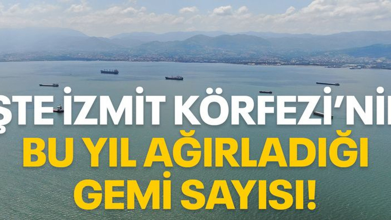 İşte İzmit Körfezi'nin bu yıl ağırladığı gemi sayısı!