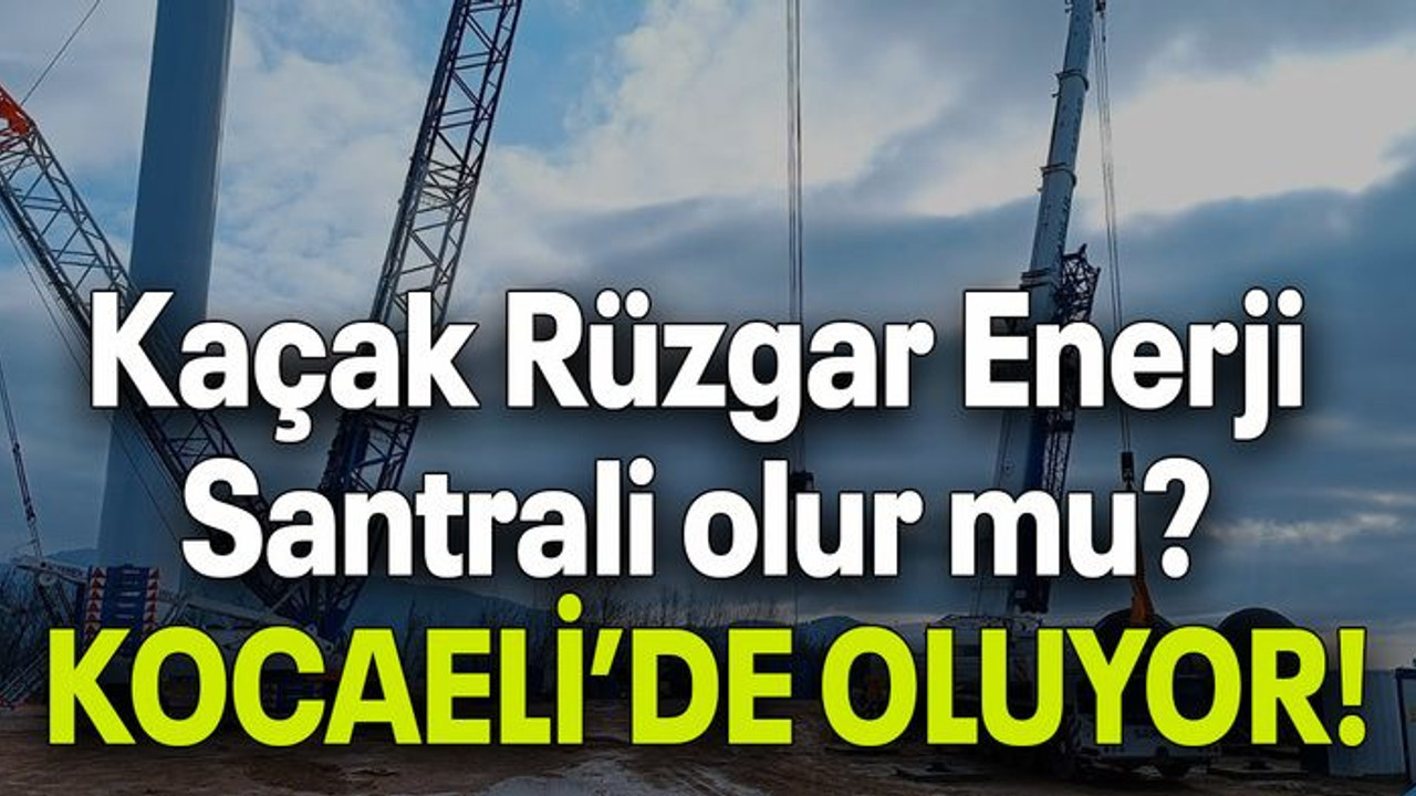Kaçak Rüzgar Enerji Santrali olur mu? KOCAELİ’DE OLUYOR!