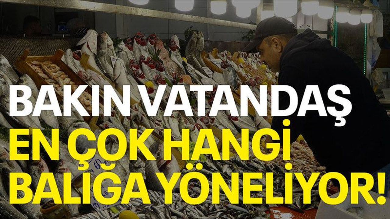 Bakın vatandaş en çok hangi balığa yöneliyor