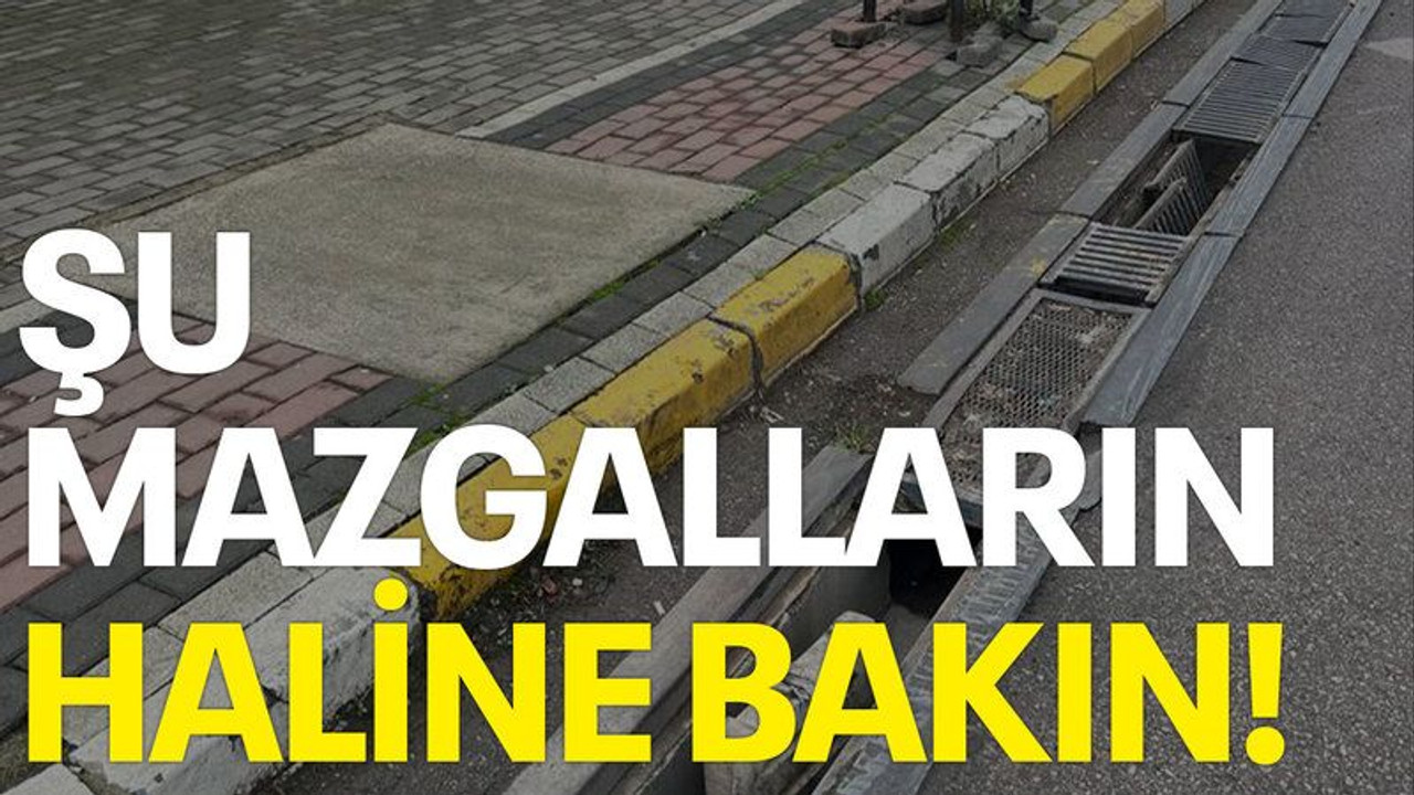 Şu mazgalların haline bakın!