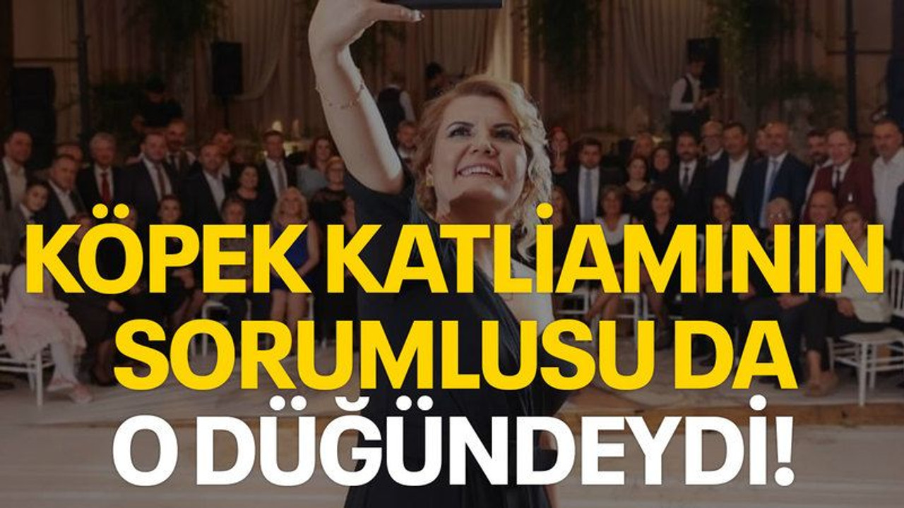 Köpek katliamının sorumlusu da o düğündeydi!