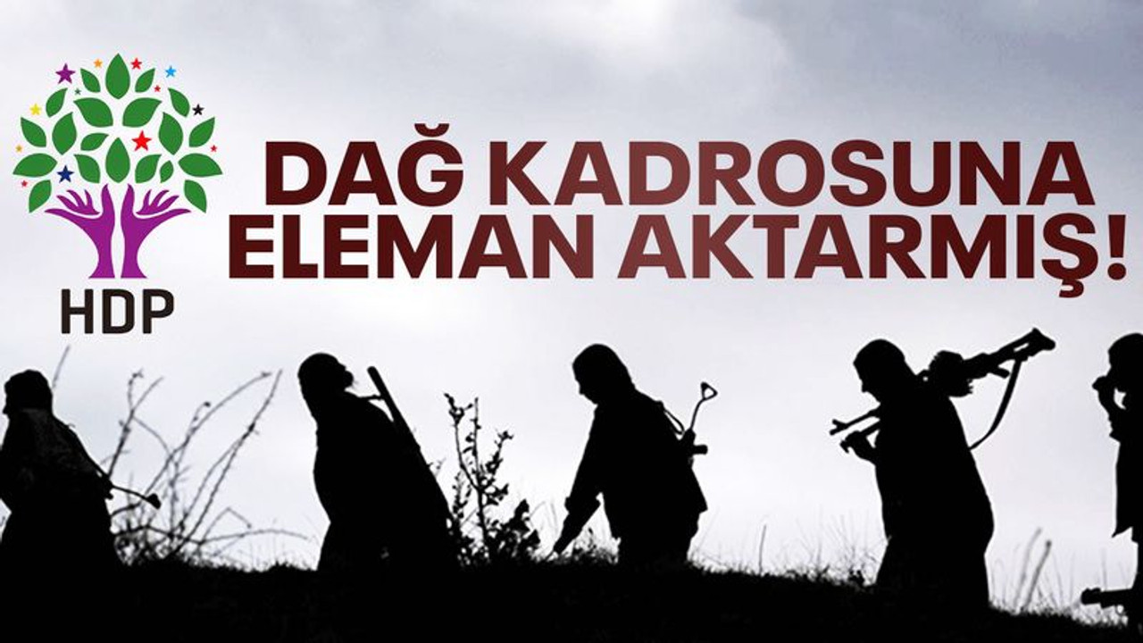 HDP’li vekilin görevi, dağ kadrosuna eleman aktarmak çıktı