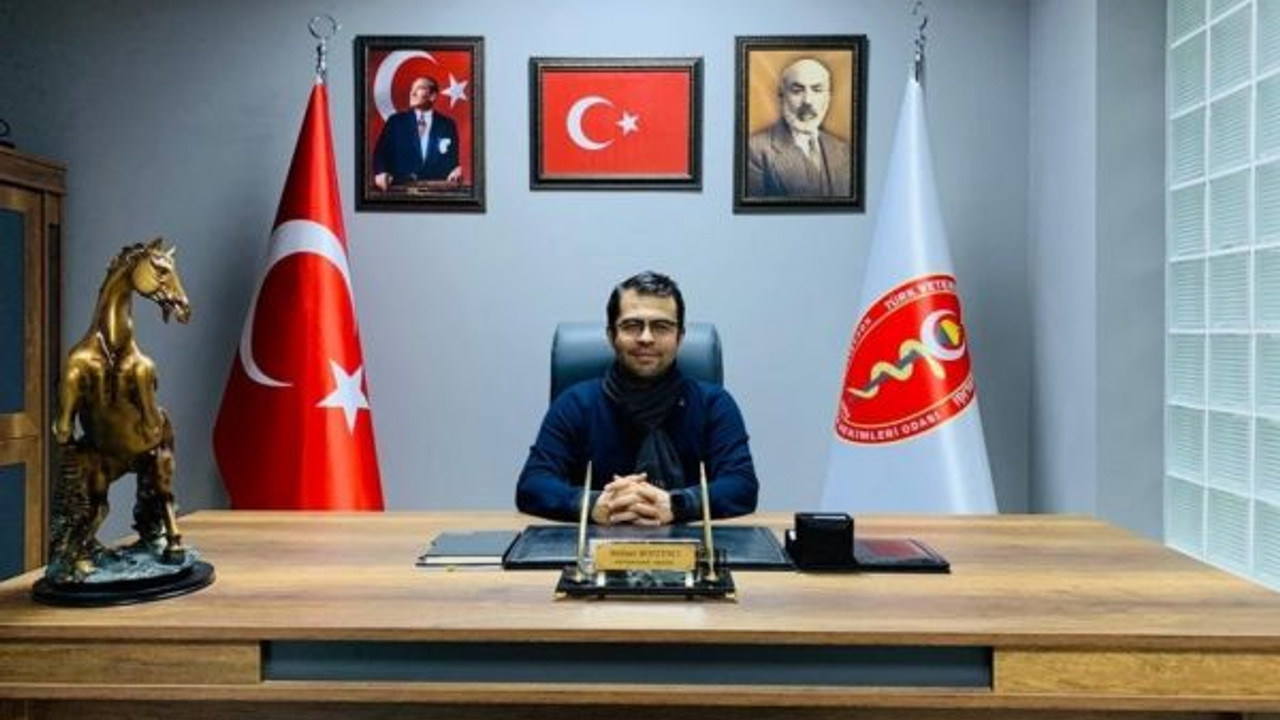 19 bin 445 hayvan kimliklendirildi