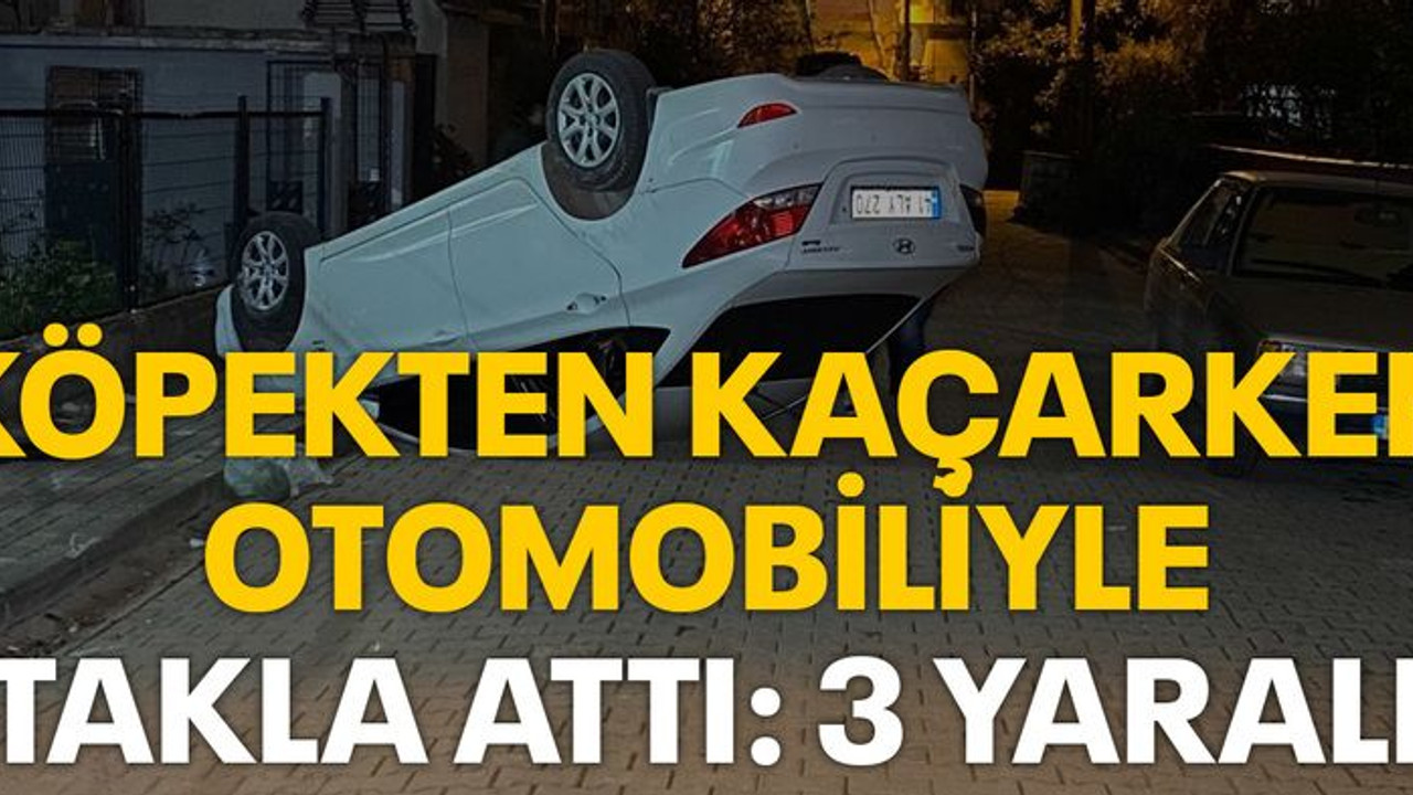 Köpekten kaçarken otomobiliyle takla attı: 3 yaralı