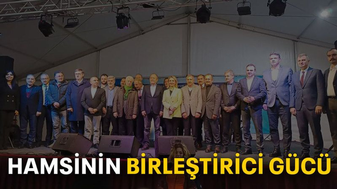 Hamsinin birleştirici gücü