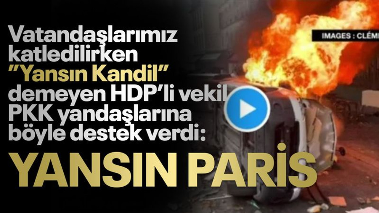 HDP'li vekilden Paris'i yakan PKK yandaşlarına, skandal destek!