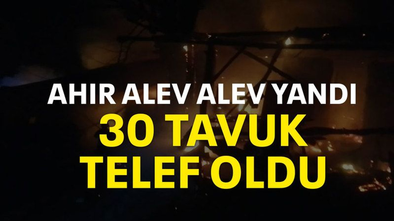 Ahır alev alev yandı:30 tavuk telef oldu