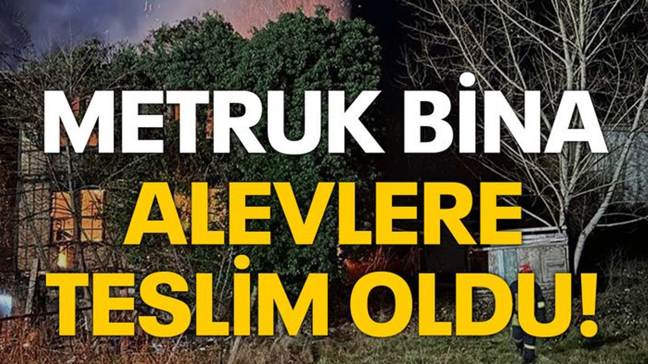 Metruk bina alevlere teslim oldu