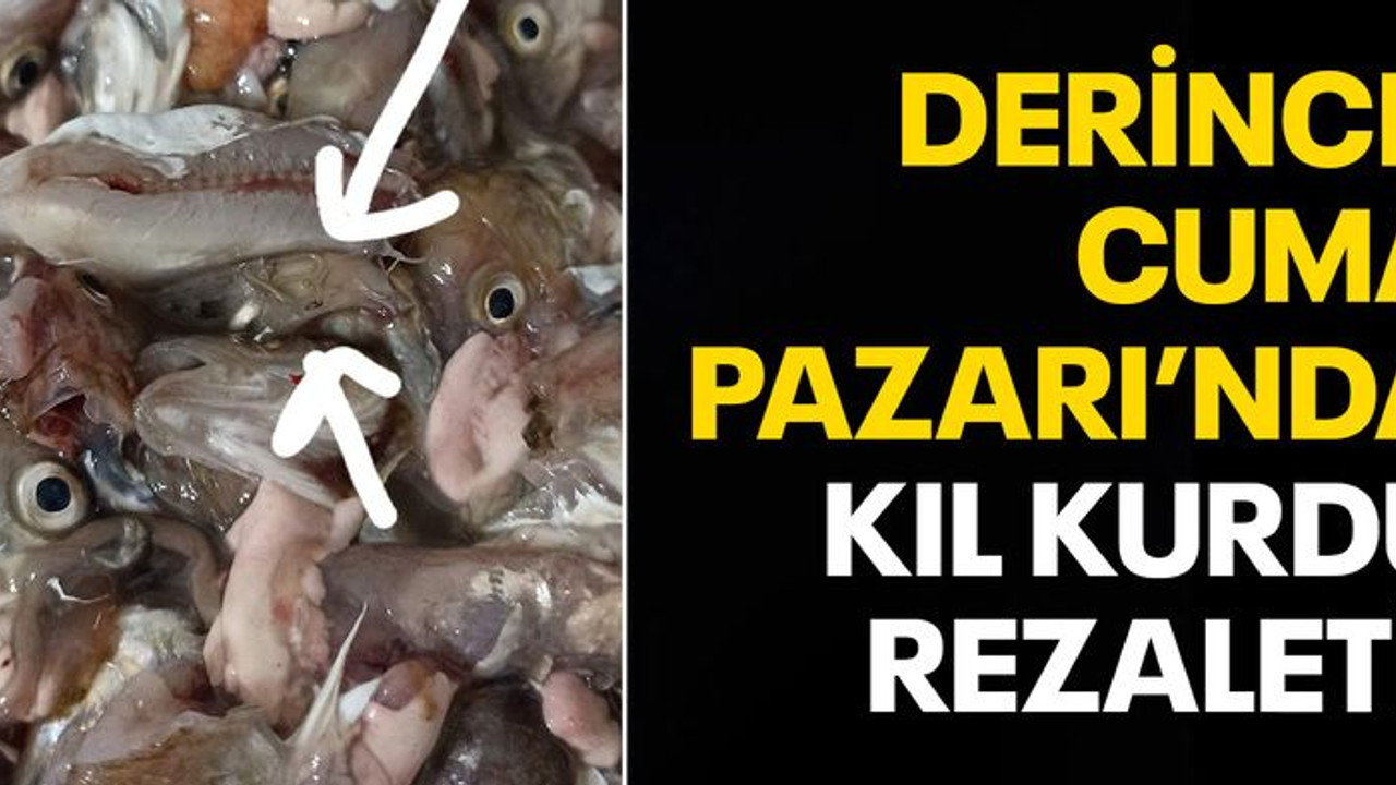 Derince Cuma Pazarı’nda kıl kurdu rezaleti!