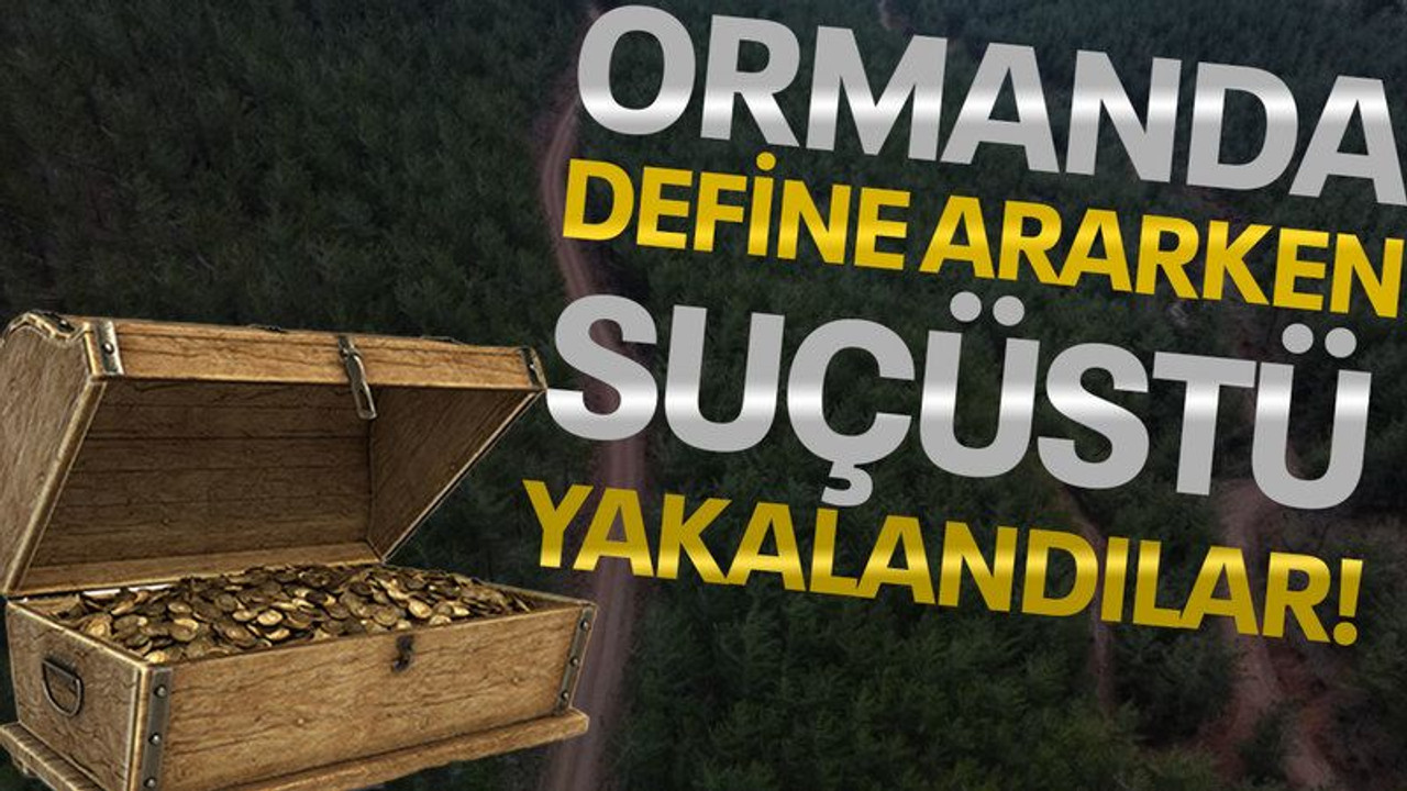 Ormanda define ararken suçüstü yakalanma!