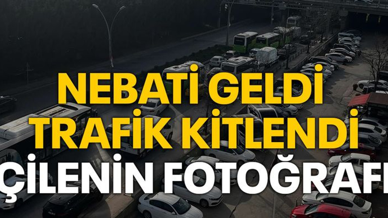 Nebati geldi trafik kitlendi “Çilenin fotoğrafı”