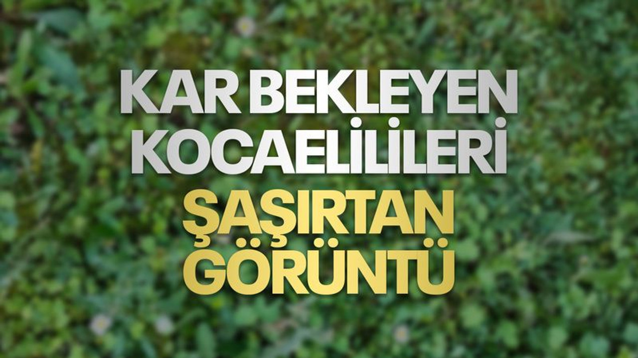 Kar bekleyen Kocaelilileri şaşırtan görüntü