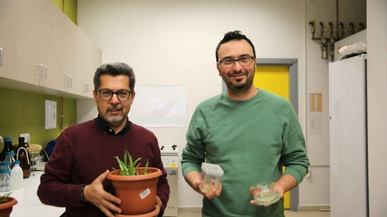 Kocaeli Üniversitesi'nden geleceğe büyük katkı!