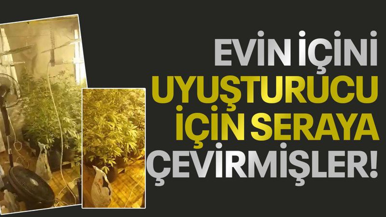 Uyuşturucu için evin içini seraya çevirmişler!