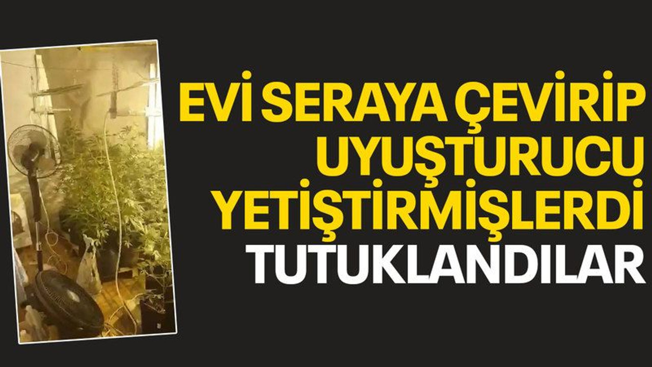 Evi seraya çevirip uyuşturucu yetiştirmişlerdi, tutuklandılar