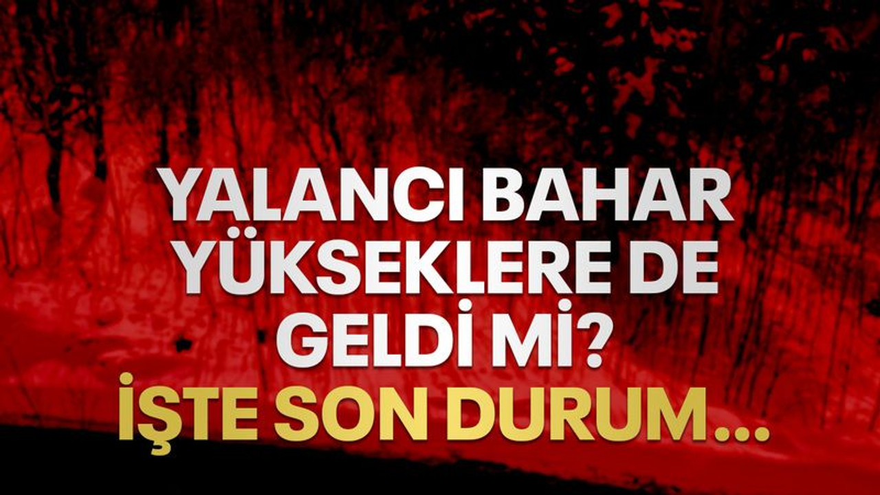 Yalancı bahar yükseklere de geldi mi? İşte son durum…