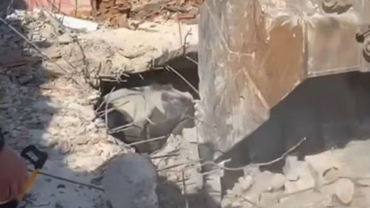 Ekipler 17 gündür enkaz altında kalan ineği kurtardı