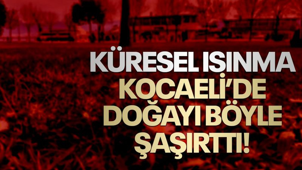 Küresel ısınma, Kocaeli’de doğayı böyle şaşırttı!