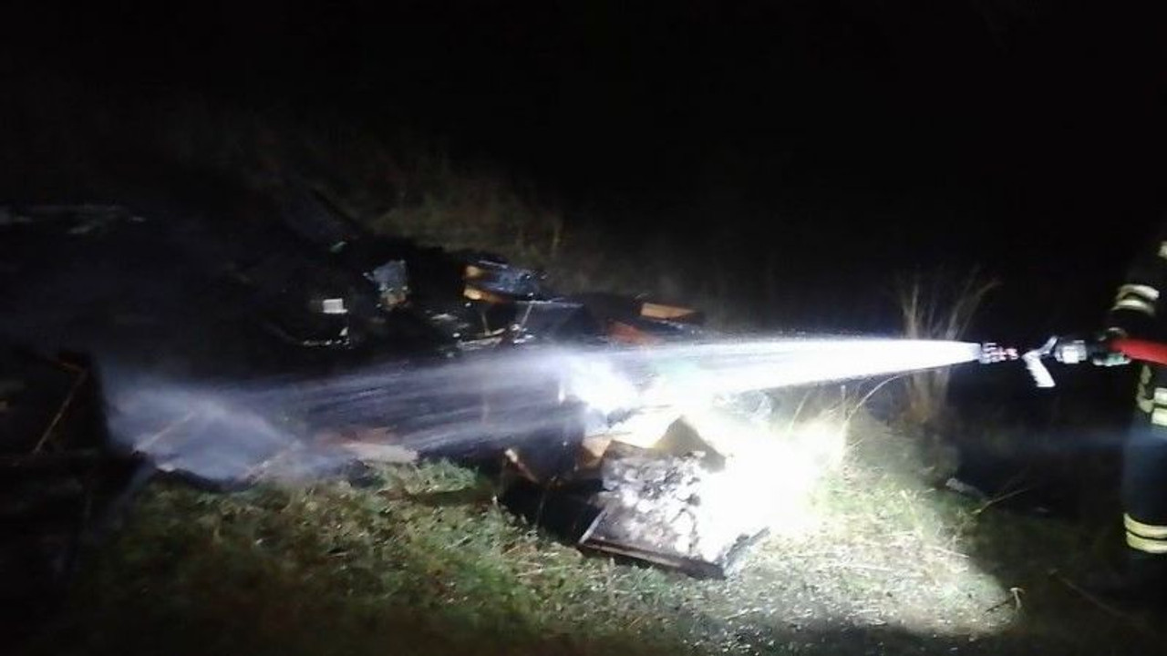 Ormanlık alandaki arı kovanları kül oldu