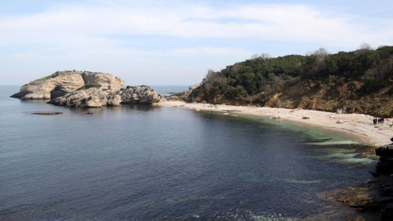 Sardala koyundaki deniz çöpleri toplandı