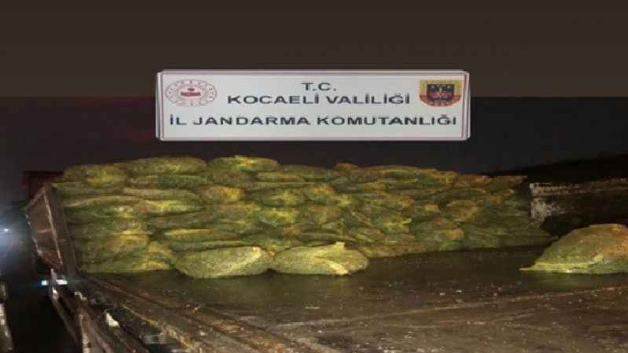 Kocaeli’de 10 ton kaçak midye ele geçirildi