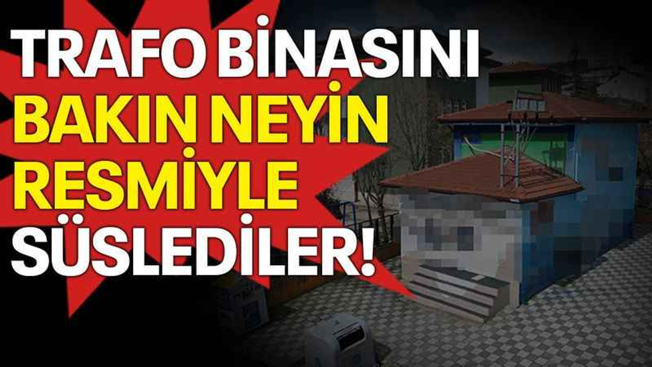 Trafo binasını bakın neyin resmiyle süslediler!