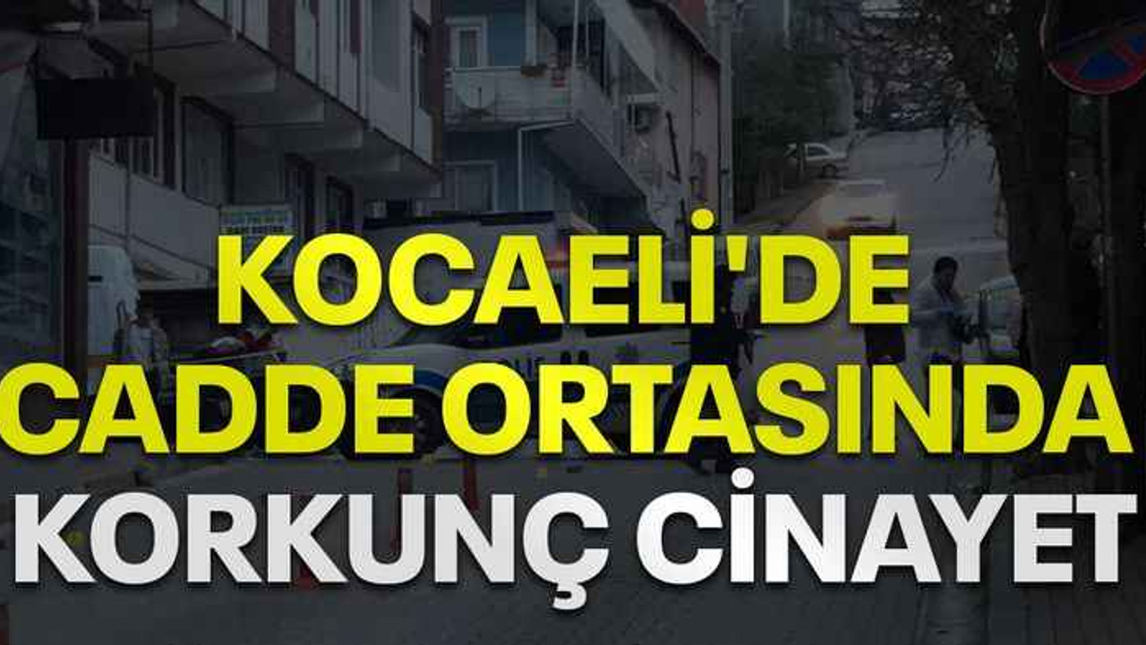 Kocaeli'de cadde ortasında korkunç cinayet