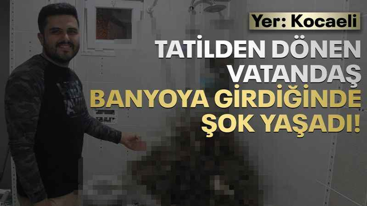 Tatilden dönen vatandaş banyoya girdiğinde şaşkına döndü