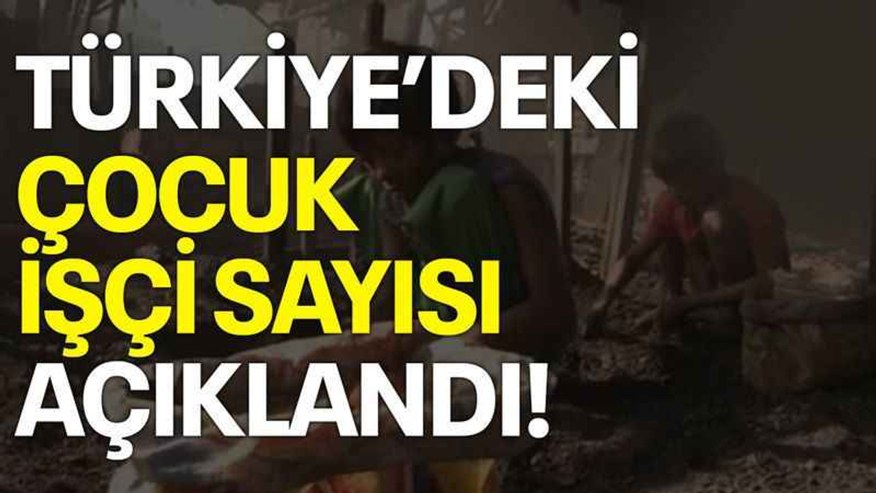 Türkiye'deki çocuk işçi sayısı açıklandı!
