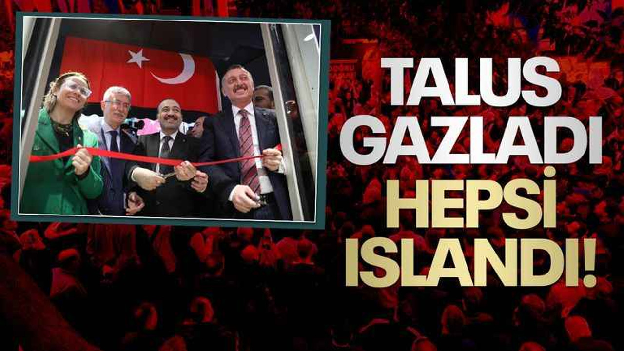 Şahin Talus, şarkıya kapıldı herkes sırılsıklam oldu!