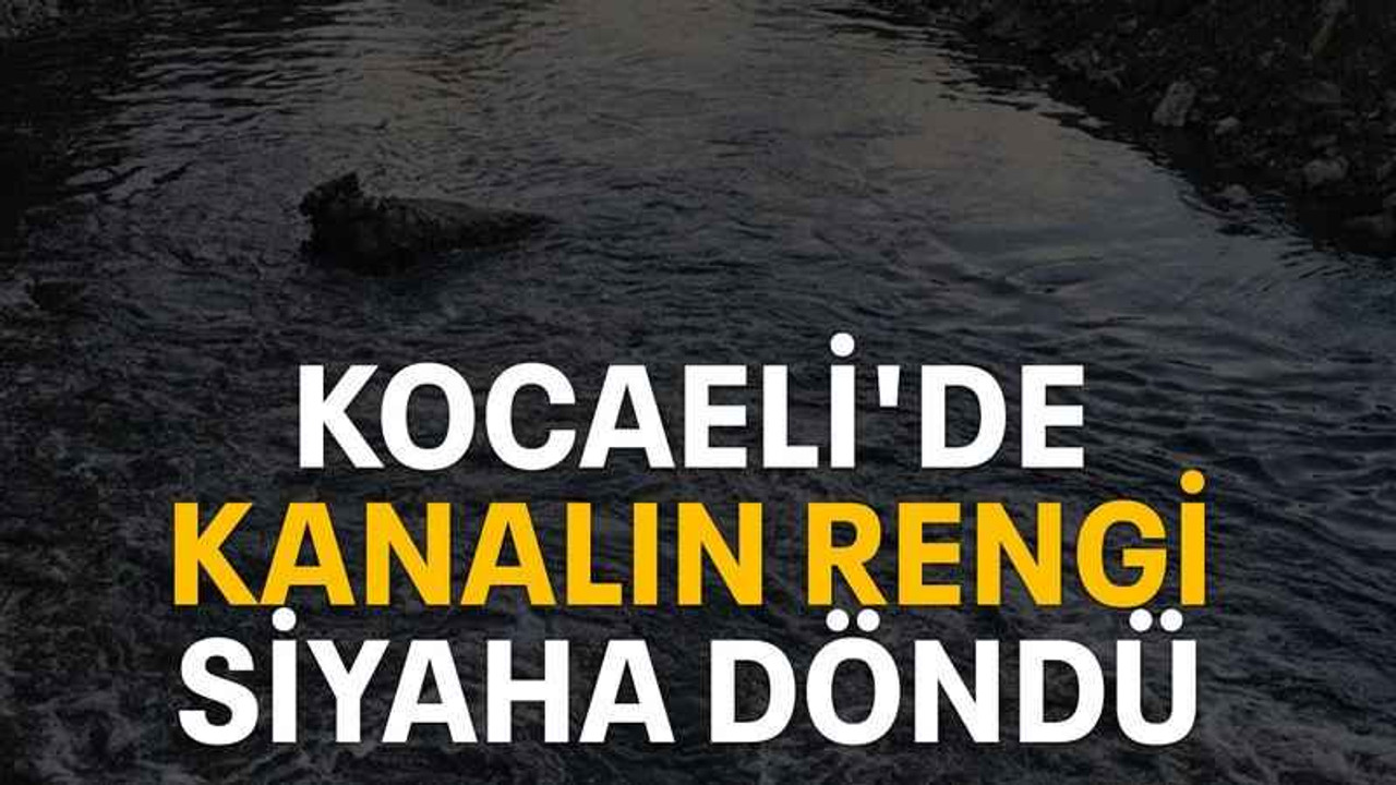 Kocaeli'de kanalın rengi siyaha döndü
