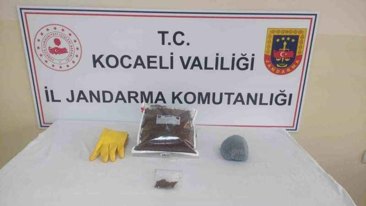 Şüphelinin evinde yapılan operasyonda bonzai ele geçirildi