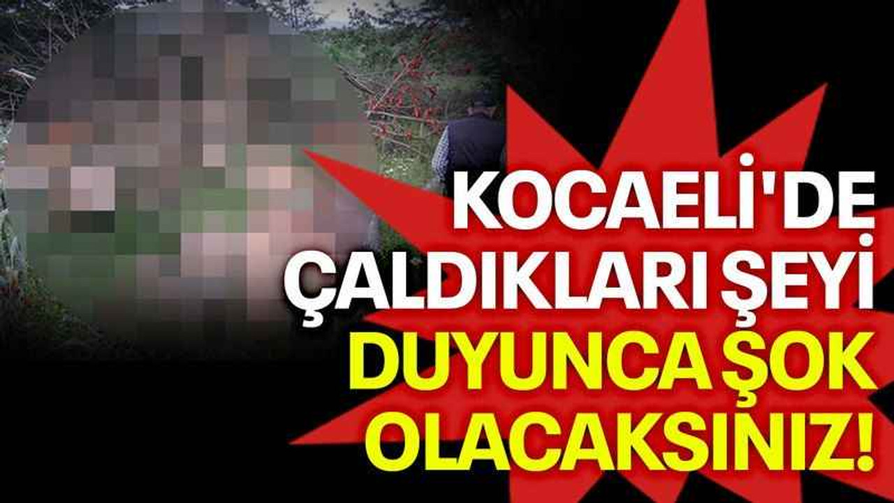 Kocaeli'de çaldıkları şeyi duyunca şok olacaksınız!