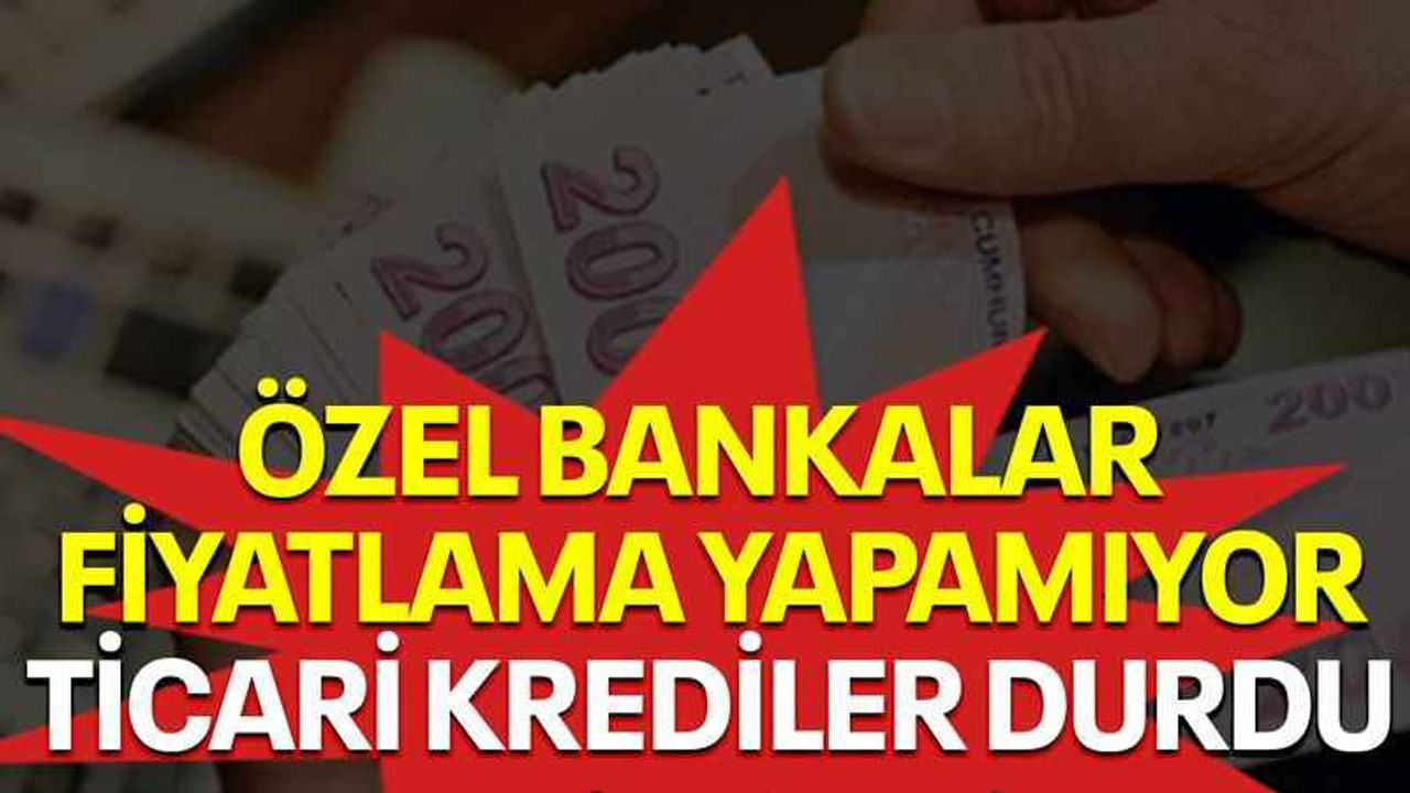 Özel bankalar fiyatlama yapamıyor, ticari krediler durdu