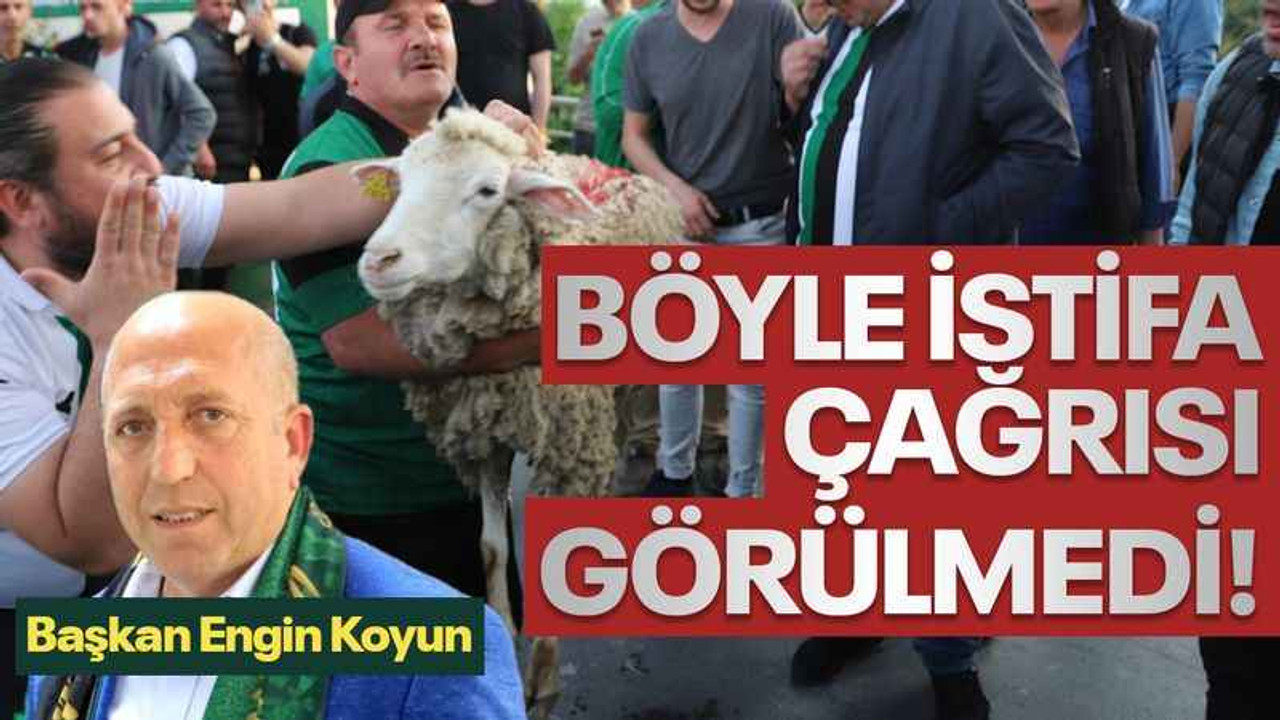 Hodri Meydan, Engin Koyun’a koyunla seslendi