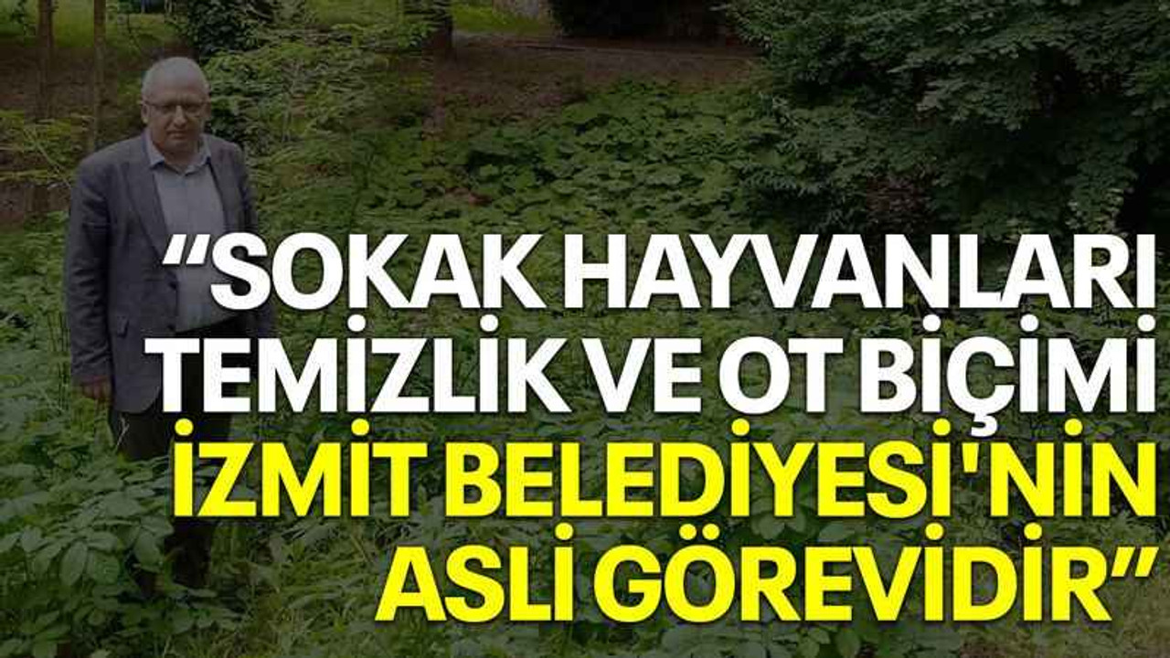 Hocaoğlu: Sokak hayvanları, temizlik ve ot biçimi İzmit Belediyesi'nin asli görevidir