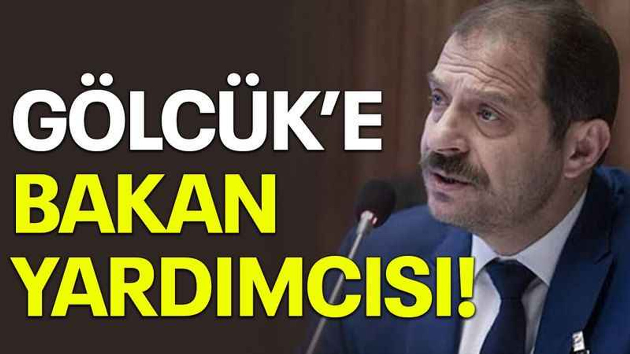 Gölcük’e bakan yardımcısı!