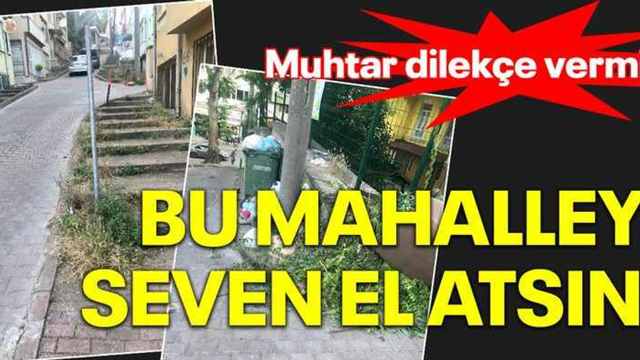 Muhtar dilekçe vermiş, bu mahalleyi seven el atsın!