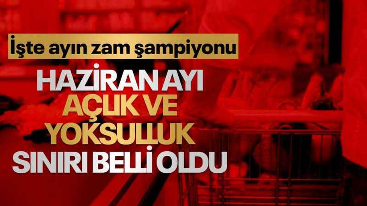 Haziran ayı açlık ve yoksulluk sınırı ile zam şampiyonu belli oldu