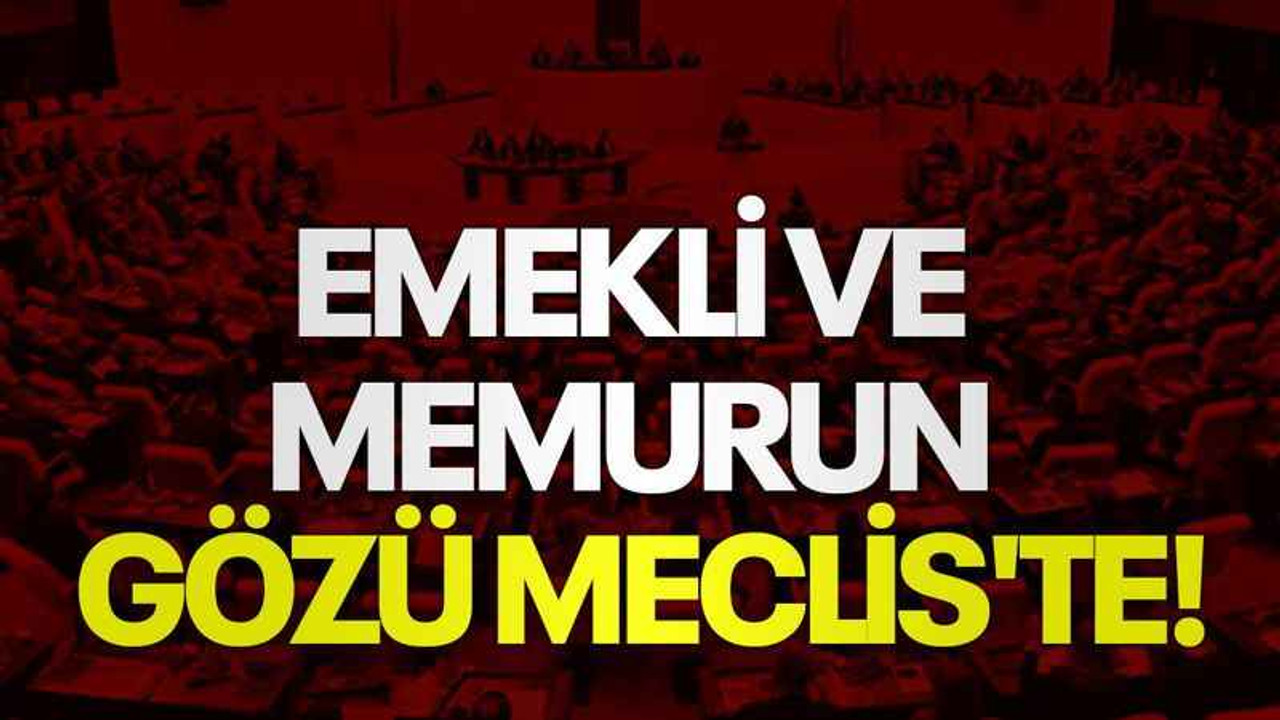 Emekli ve memurun gözü Meclis'te!