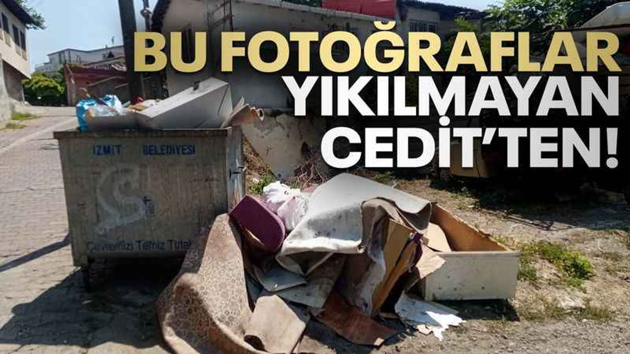 Bu fotoğraflar yıkılmayan Cedit’ten!