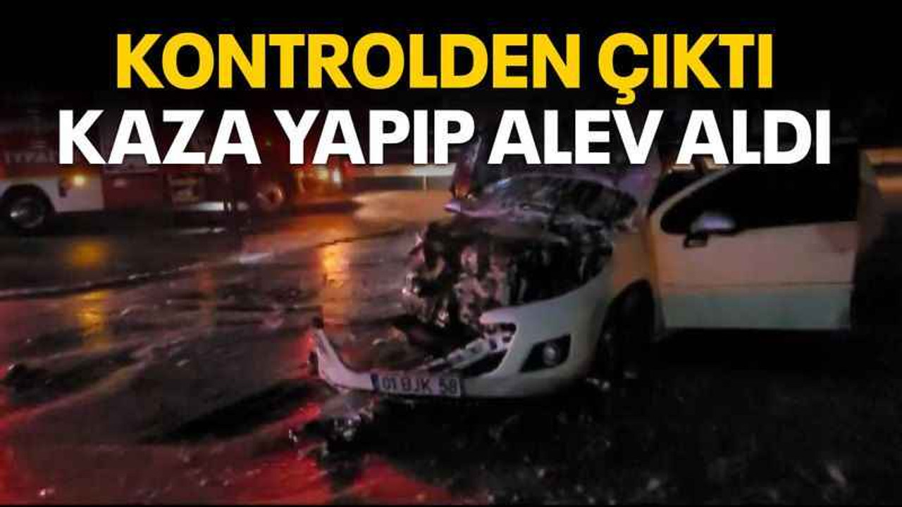 Kontrolden çıktı, kaza yapıp alev aldı