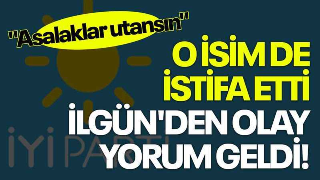 O isim de İYİ Parti'den istifa etti, İlgün'den olay yorum geldi! "Asalaklar utansın"