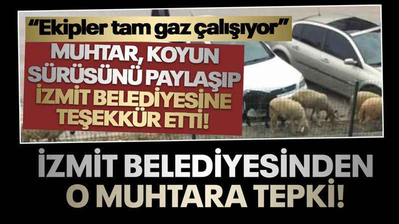 İzmit Belediyesinden muhtarın koyunlu paylaşımına tepki!
