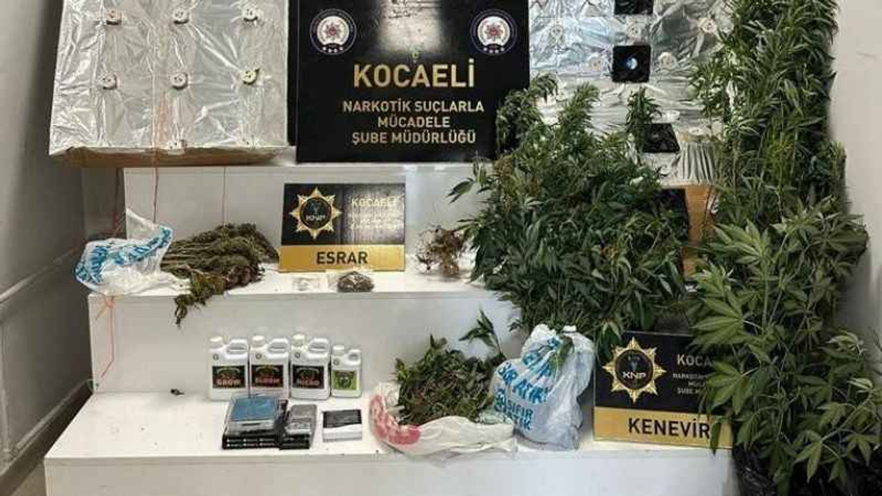 Kocaeli'de uyuşturucu operasyonu: gözaltılar var