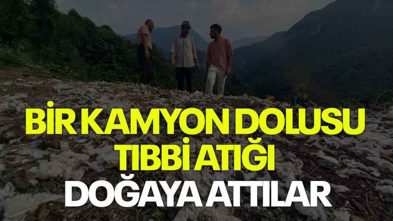 Bir kamyon dolusu tıbbi atığı doğaya attılar