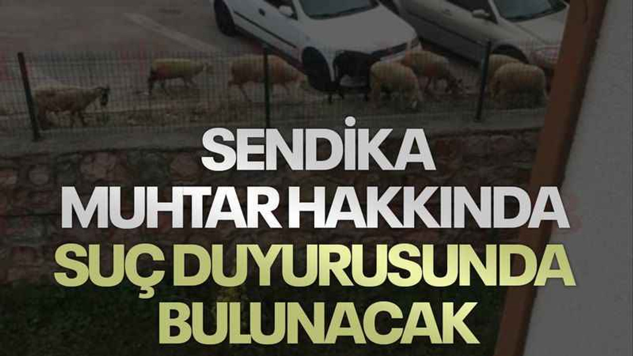 Sendika, muhtar hakkında suç duyurusunda bulunacak