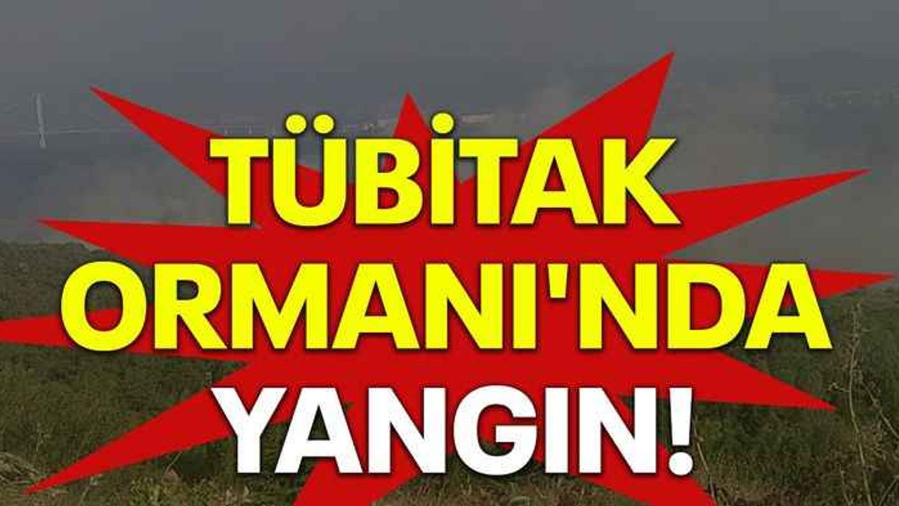 TÜBİTAK Ormanı'nda yangın!