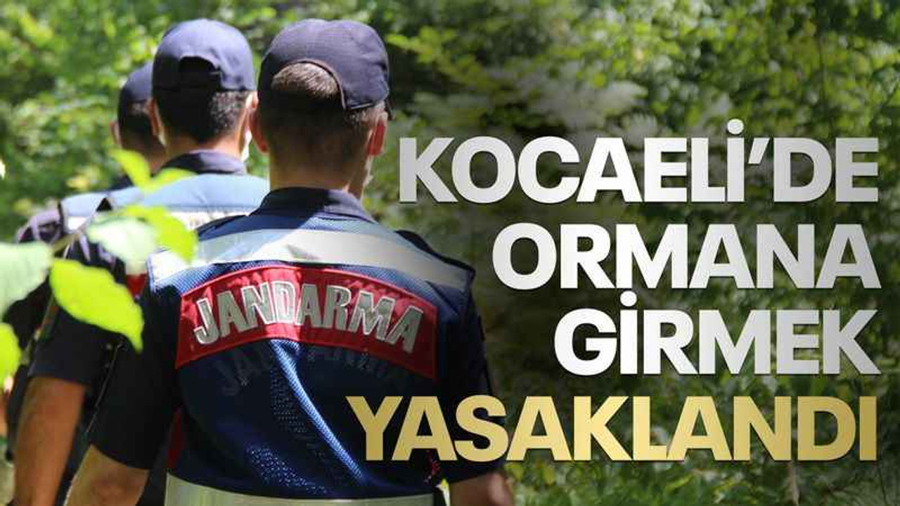 Kocaeli’de ormana girmek yasaklandı